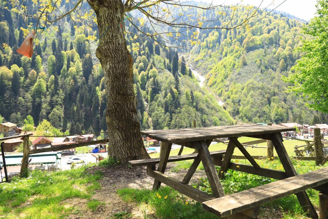Villa Zafran Ayder Yaylasi Εξωτερικό φωτογραφία