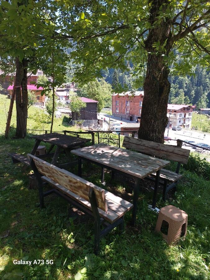 Villa Zafran Ayder Yaylasi Εξωτερικό φωτογραφία