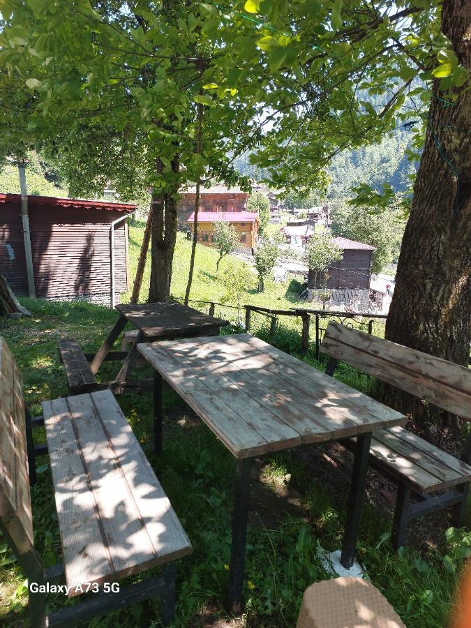 Villa Zafran Ayder Yaylasi Εξωτερικό φωτογραφία